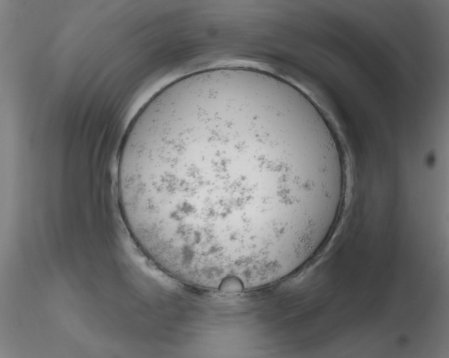 X0000116851198200912220935