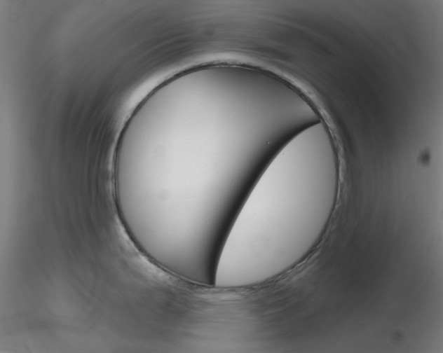 X0000116851199200912220935