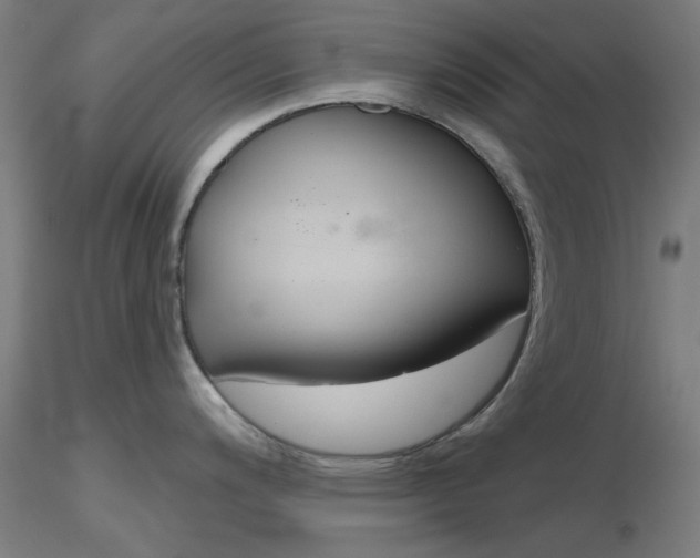 X0000116851200200912220935