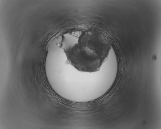X0000116851201200912220934