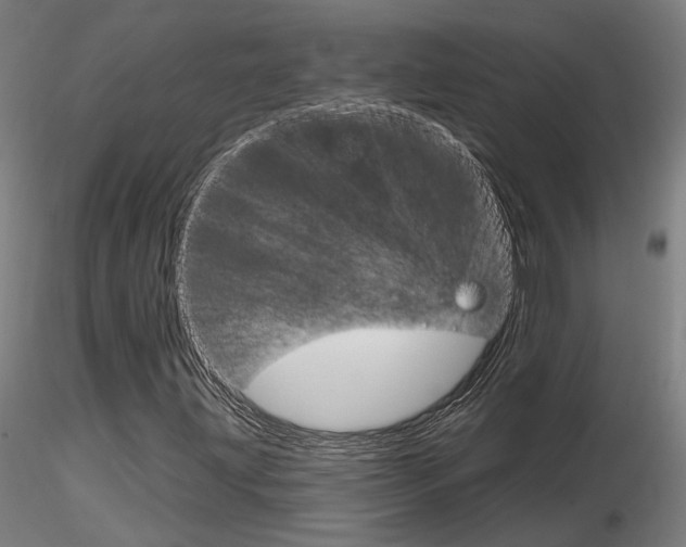X0000116851203200912220934