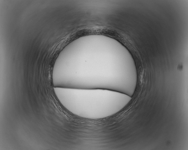 X0000116851204200912220934