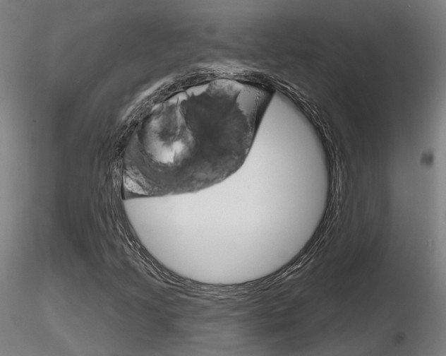 X0000116851205200912220934