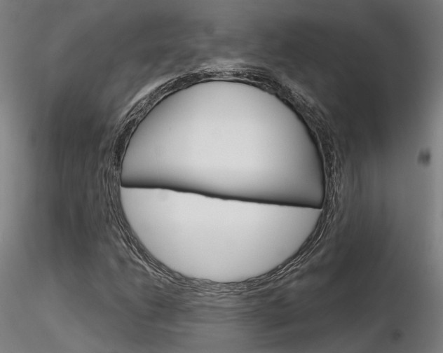 X0000116851206200912220934