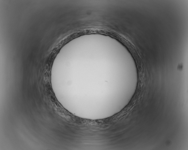 X0000116851207200912220934