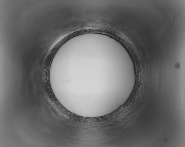 X0000116851208200912220934