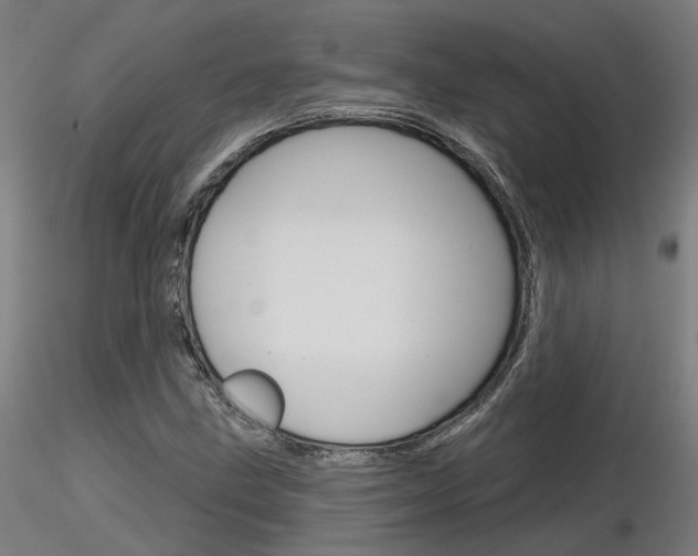 X0000116851211200912220935