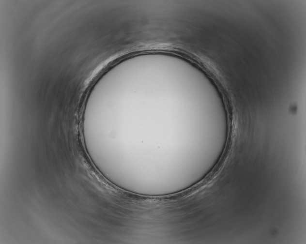 X0000116851212200912220935