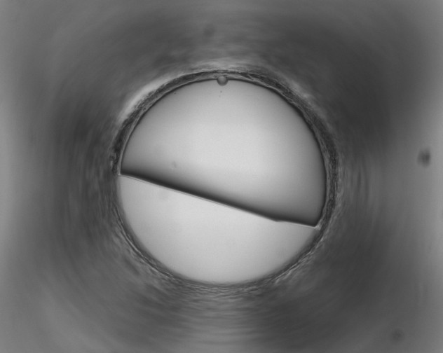 X0000116851214200912220935