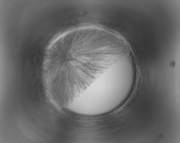 X0000116851215200912220935