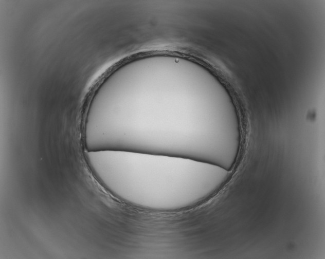X0000116851216200912220935
