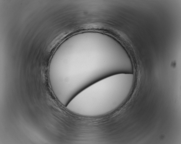 X0000116851217200912220935
