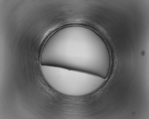 X0000116851218200912220935