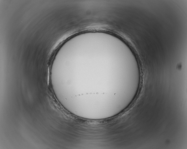 X0000116851219200912220935