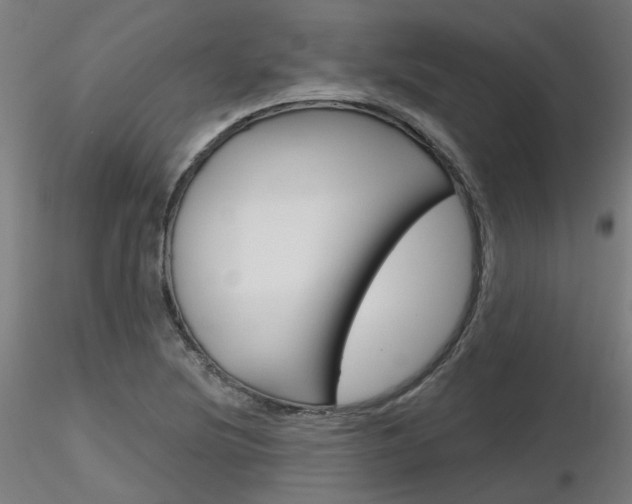 X0000116851220200912220935