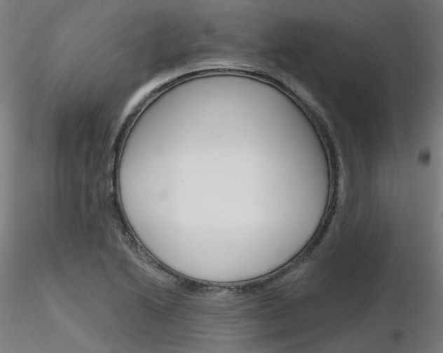 X0000116851222200912220935