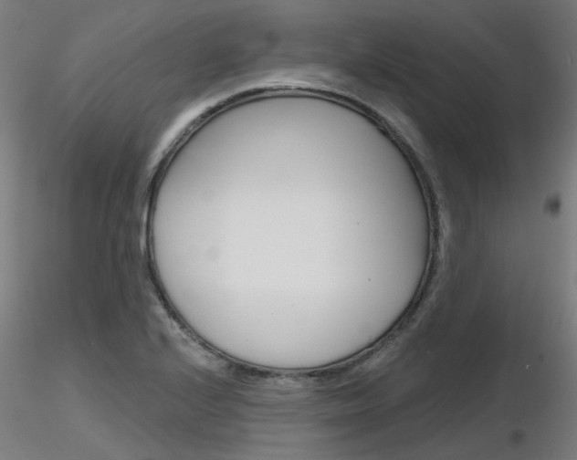 X0000116851224200912220935