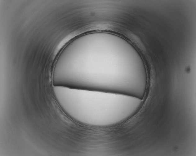 X0000116851226200912220935