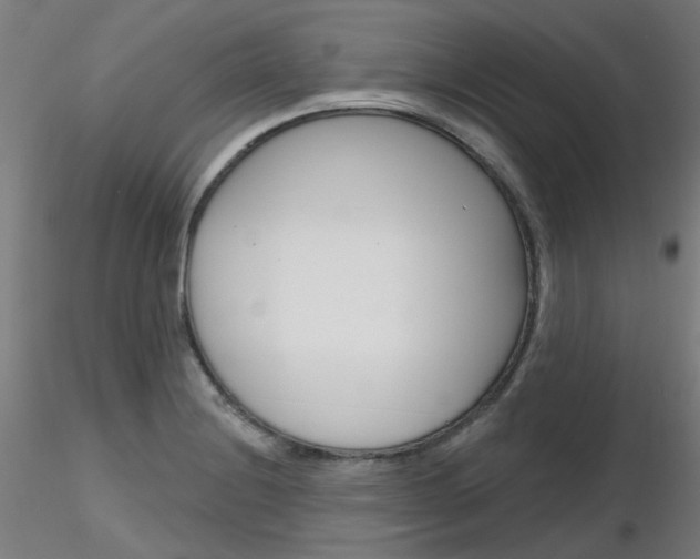 X0000116851228200912220935