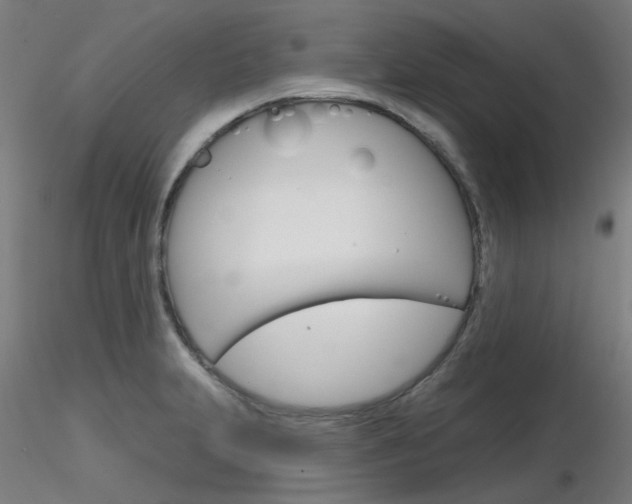 X0000116851231200912220935