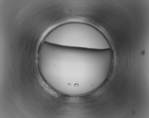 X0000116851232200912220935