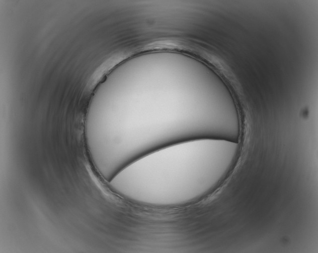 X0000116851233200912220935