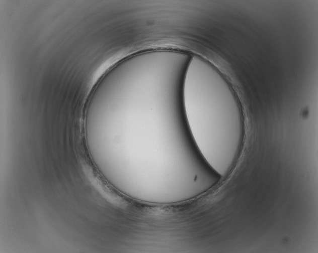X0000116851234200912220935