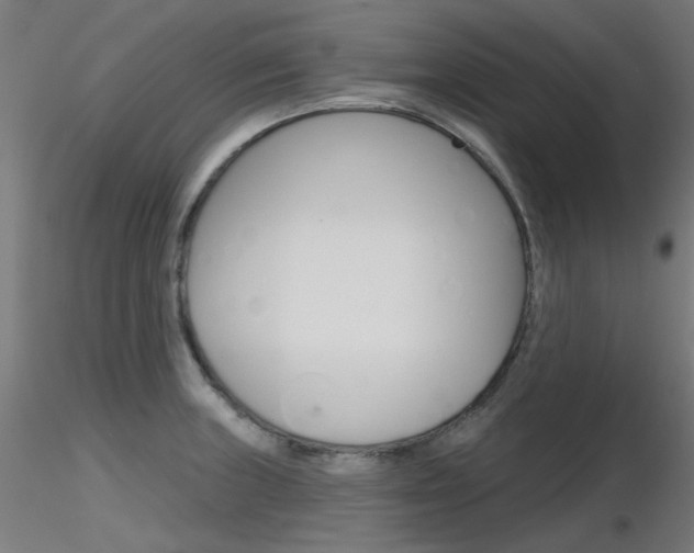 X0000116851235200912220935