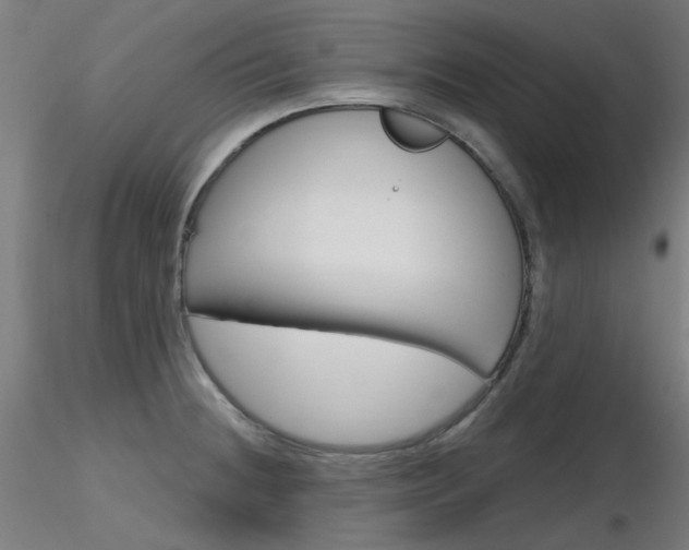 X0000116851236200912220935