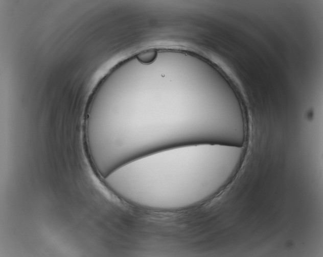 X0000116851237200912220935