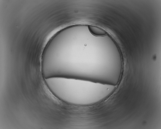 X0000116851238200912220935