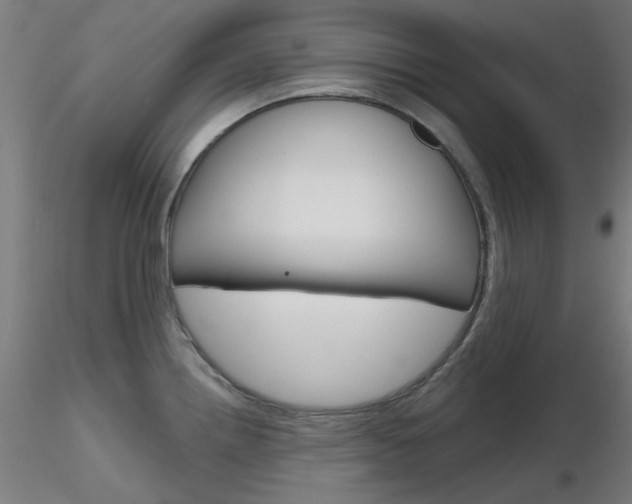 X0000116851242200912220935