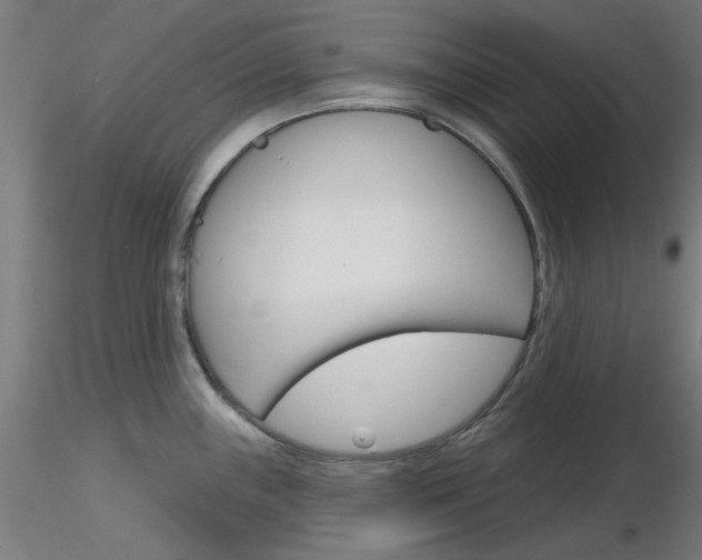X0000116851243200912220935