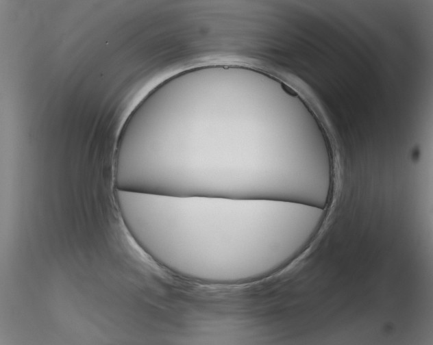 X0000116851244200912220935