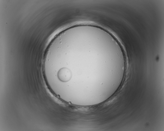 X0000116851245200912220935