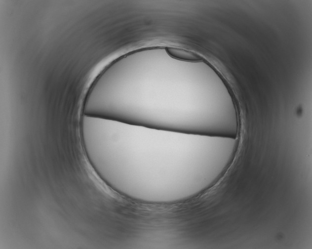 X0000116851246200912220935