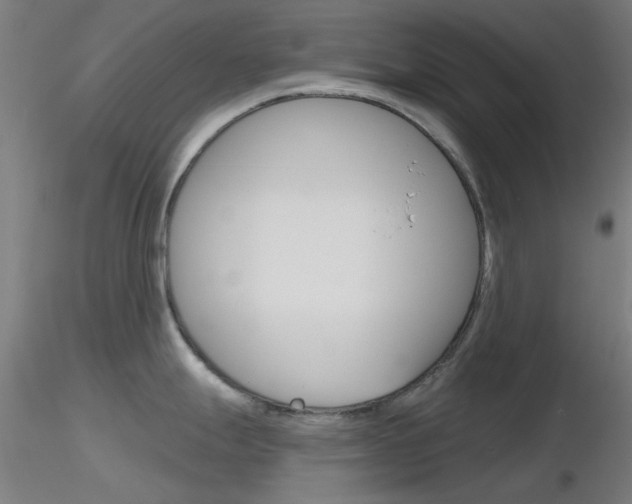 X0000116851247200912220935