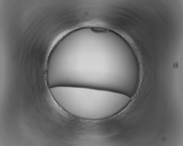 X0000116851248200912220935