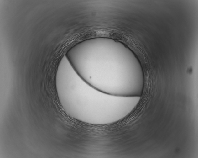X0000116851249200912220934