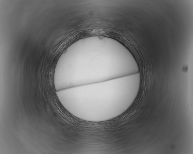 X0000116851250200912220934