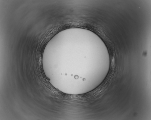 X0000116851251200912220934