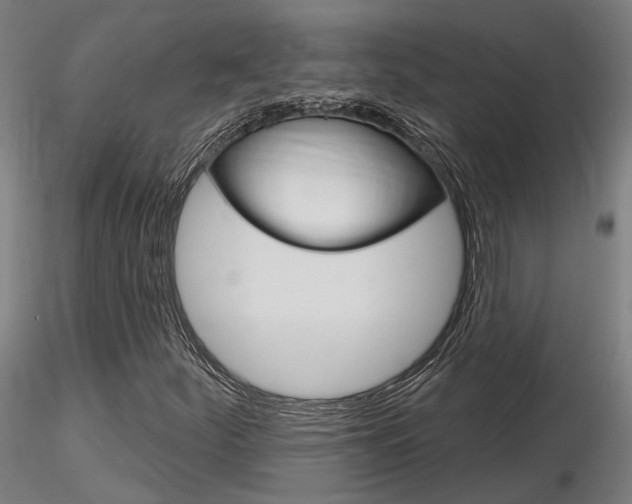 X0000116851252200912220934
