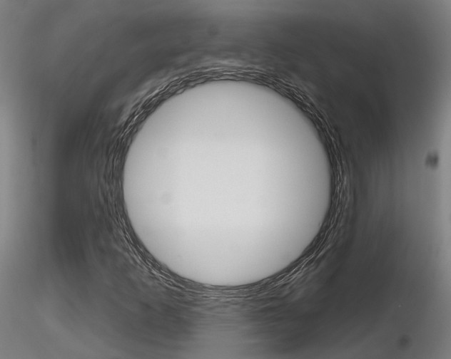 X0000116851253200912220934