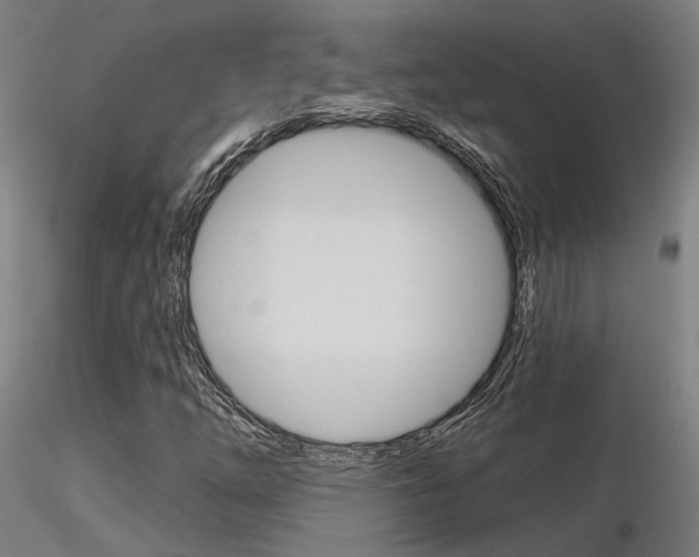 X0000116851254200912220934