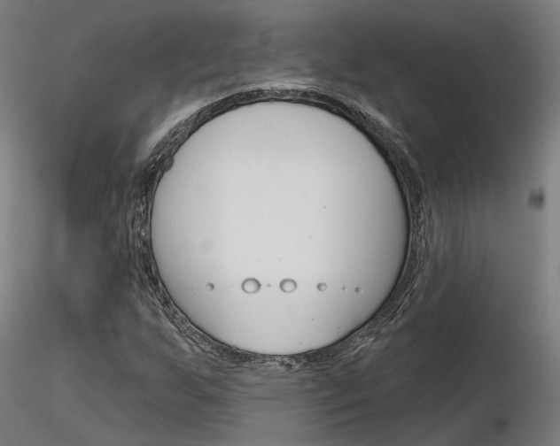 X0000116851255200912220934