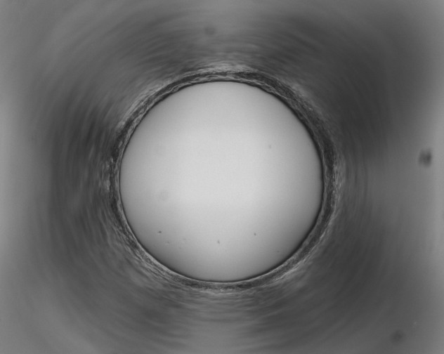 X0000116851257200912220934