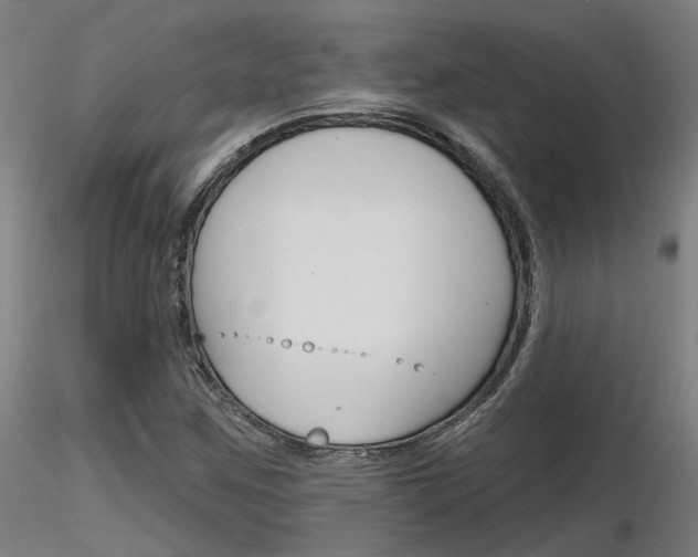X0000116851259200912220934