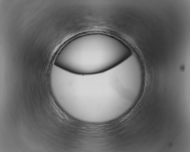 X0000116851260200912220934