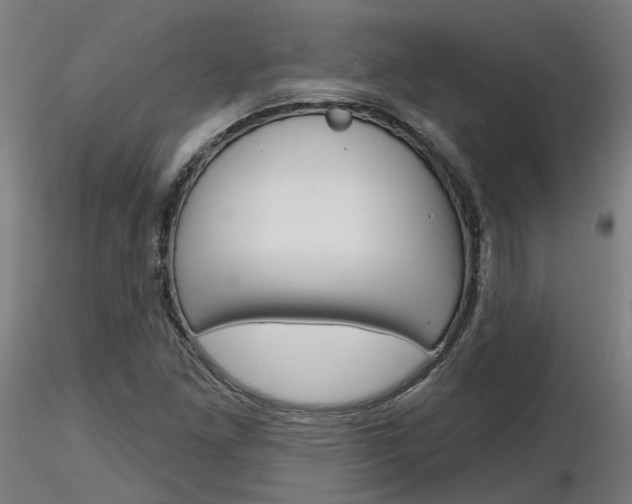 X0000116851261200912220934