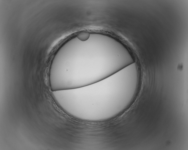 X0000116851262200912220934